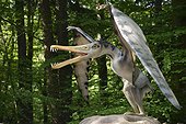 Cearadactylus , Prehistoric Park, Dino Zoo , Charbonnières -les-Sapins , Franche -Comté , France