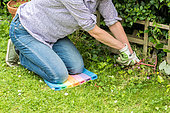 Women cleaning a border. She is using a kneeling mat