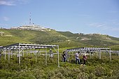 Rain exclusion system in Mediterranean scrubland. Mediterranean ecosystems in the face of climate change. Massif de l'Etoile, Alpes de Haute-Provence, France