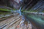 Rivière Le Chéran, watercourse labeled "Wild River" by the Fonds for the Conservation of Wild Rivers. Héry sur Alby. Bauges massif Regional Nature Park, Haute-Savoie, Alps, France