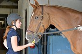 Young woman giving an apple to her horse as a reward