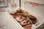 Dutch fishing vessel fishing on the Northies for sole and flounder