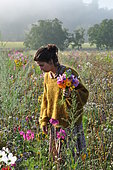 Young woman making a bouquet in a flowered meadow