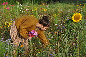 Young woman making a bouquet in a flowered meadow