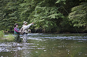 Guide to Fishing and Young Woman in Apprenticeship,, Fly fishermen on the French-Swiss Doubs river, La Goule, Franche-Comté, France