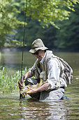 Man presenting a wild Trout of the Doubs (Salmo trutta fario), Fly fishermen on the French-Swiss Doubs river, La Goule, Franche-Comté, France