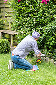 Women cutting a lawn edge near a border. She is using a kneeling mat
