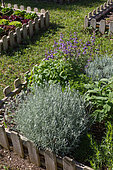Aromatic plants in a square foot kitchen garden, Provence, France