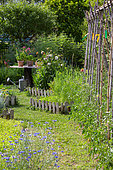 Jardin en carrés et rangée de tomates sur tuteurs au potager, Provence, France