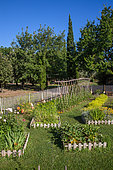 White mustard, Square foot kitchen garden, Tomato on stakes, Dahlias cactus, Provence, France