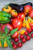 Tomatoes, eggplants and peppers, Provence, France