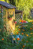 Cabane et coin détente dans un jardin en juillet, Provence, France