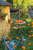 Garden shack with seating area in july, Provence, France