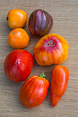 Tomatoes 'Cornue des andes', 'Coeur de Boeuf - Ox Heart' red and yellow, 'Pineapple', 'Noire de Crimée' - Provence, France