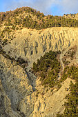 Demoiselles du Merdane, Region of Guillestre, Queyras, Hautes Alpes, France