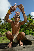 Hieroscopy in the viscera of a chicken. Sikere, Mentawai, Siberut, Indonesia