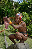 Hieroscopy in the viscera of a chicken. Sikere, Mentawai, Siberut, Indonesia