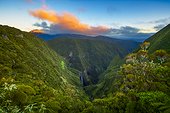 Waterfall in the Trou de Fer, Piton des Neiges Massif, Reunion Island
