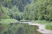 Fly fishing on the Doubs river, Doubs, Franche-Comté, France