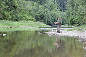 Fly fishing on the Doubs river, Doubs, Franche-Comté, France