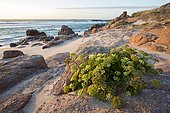 Costa da morte, Galicia, Spain