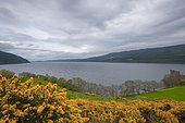Loch ness lake, Highlands, Scotland
