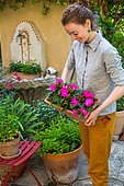 Girl and New Guinea Impatiens (Impatiens hawkeri) in a pottery, Vegetable garden, Provence, France