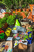 Sowing table, Vegetable garden, Provence, France