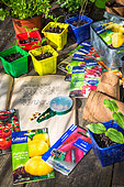 Sowing table, Vegetable garden, Provence, France