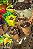 Sowing table, Vegetable garden, Provence, France