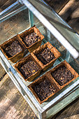 Sowing table, Vegetable garden, Provence, France