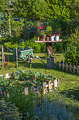 Wooden table with herbs in pots, wheelbarrow and watering can, Vegetable garden, Provence, France