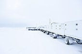 Polar bear viewing, Churchill, Hudson Bay, Manitoba, Canada, America