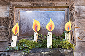 Decoration "Candles" painted on a birch branch in winter, Lorraine, France