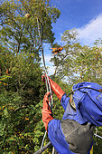 Since the invasion of the hornets in 2004, techniques for treating the nests have evolved. Today, the pest controllers use twenty meter poles to inject a powder made from Permethrin. France