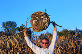 Portrait of Etienne Roumailhac, 42 years old, hunter of Asian hornets, with an Asian hornets' nest. The nest's size can reach one meter in diameter and the population can exceed 20,000 hornets. France