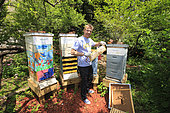 Urban Beekeeping - Adam Johnson, 35 years old, associate lawyer in a New York law firm, looks after four hives in a neighboring community garden. “The New York City Beekeepers’ Association to which I belong thinks there are about a hundred hives in New York. But, that’s only counting our group and the known beekeepers. If you add people of Mexican and Puerto Rican origins, who have rural roots, and other groups of young people, the figures could get as high as 500 hives.” USA