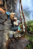 The honey of the untouchables, At the foot of the cliff, part of the team collects the pole and the container full of honey, conditions it for portage. Tamil Nadu, India
