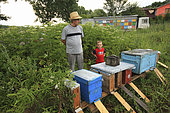 Ionel Farcas Cozmin, 54 years old, from Mures in Transylvania, with his grandson Catalin in front of the hives. Romanian traveling beekeepers, Romania