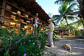 Brazil, State of Para, Piétropolis. The association Flores da Amazonia, which brings together 60 beekeepers, has also thrown itself into the raising of stingless bees. Giorgio Venturieri is in the apiary belonging to Marron, the owner of the association's lands. Former banker, he took advantage of a restructuring to buy land and share 25 hectares with the association and local beekeepers. Stingless bees of the Amazon