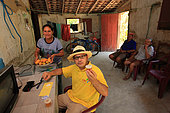 Brazil, State of Para, Piétropolis. Giorgio Venturieri takes samples of honey from different apiaries located within a 150 to 300km radius of Belém. The honeys will be analyzed for their therapeutic properties and also to find out what pollens are present in the regions in question, which will then maybe allow him to identify the plants. Stingless bees of the Amazon