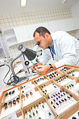 In the Embrapa laboratory in Belém, the collection of pollinating insects that Giorgio Venturieri started 20 years ago, when he did research into the pollination of the Amazonian canopy, is today a reference even if it only brings together 1000 species. Stingless bees of the Amazon