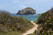 Pointe des Châteaux, Guadeloupe
