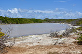 Saline at the Pointe des Châteaux, Guadeloupe