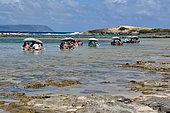 Lunch in the water, Towards the Pointe des Châteaux, Guadeloupe