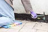 Woman hoeing a border. To avoid the stress and pain of posture, she uses a knee pad for gardening