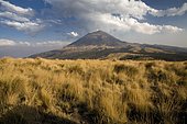 Volcano Popocatepetl, Iztaccíhuatl Popocatépetl National Park, Puebla, Mexico, Central America