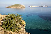 Conejera Island, Cabrera Archipelago Maritime-Terrestrial National Park, Baleares Islands, Spain