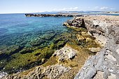 Ses Salines d'Eivissa i Formentera Nature Park, Ibiza, Baleares Island, Spain