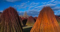 Wicker, Ruta del Mimbre, Cuenca, Castilla - La Mancha, Spain, Europe